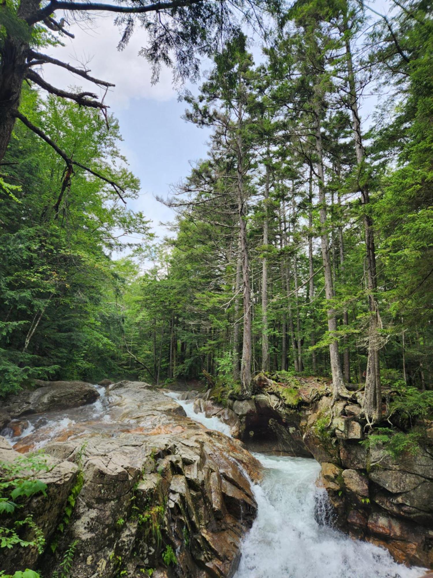 Backyard Bliss In The White Mountains Hébergement de vacances